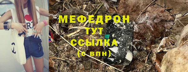 сатива Магас