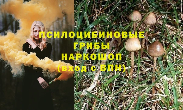 сатива Магас