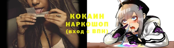спайс Магадан
