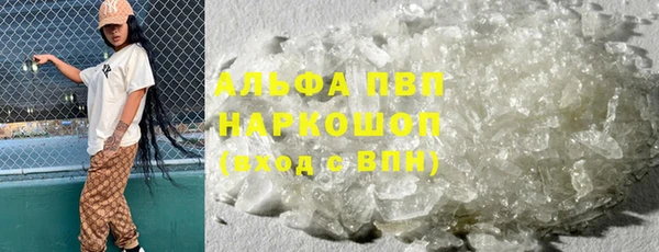 сатива Магас
