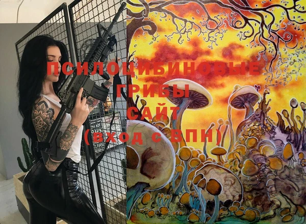 мескалин Майский
