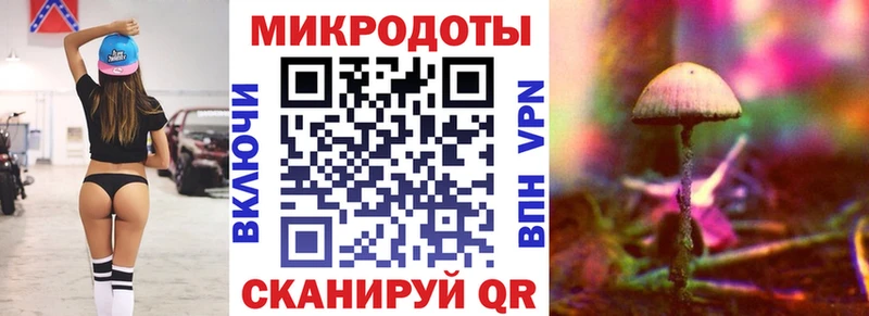 Купить где  Пыть-Ях  Галлюциногенные грибы Psilocybine cubensis 
